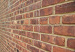 brick wall brick wall
