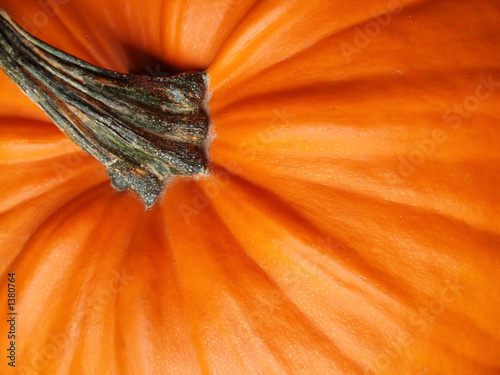 Photo: close-up of orange halloween pumpkin with green stalk close-up of orange halloween pumpkin with green stalk