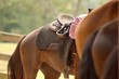 horse saddle