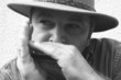 harmonica
