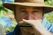 harmonica