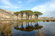 the lagoon the lagoon