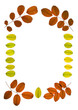fall frame 5
