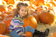 Foto: pumpkin patch girl pumpkin patch girl