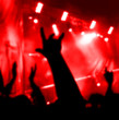 concert audience-2