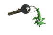 key