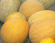 muskmelons on a counter
