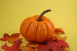 pumpkin