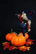 halloween scarecrow