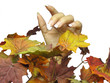 fall season manicure