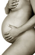 pregnant