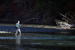 Photo: fly fisherman fly fisherman
