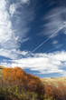 autumn 9