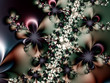 fractal flowers