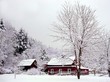 snow day on the farm