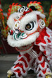 Photo en ligne au meilleur prix dancing lion