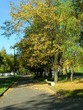 autumn in the city