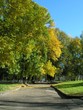 autumn in the city