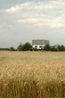 farm