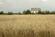 farm