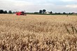 harvest