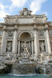 rome - trevi fountain