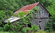 overgrown shelter