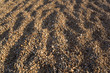 england dorset coast chesil beach england dorset coast chesil beach
