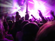 people on concert people on concert