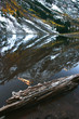 log