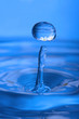 waterdrop with reflection of flowers