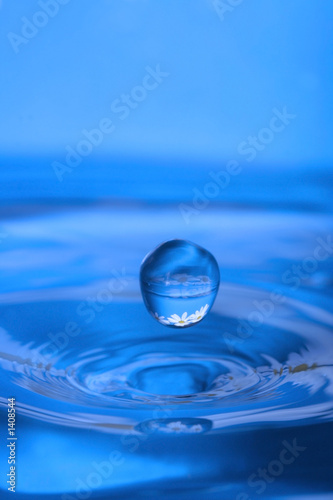 Photo: waterdrop with reflection of flowers waterdrop with reflection of flowers