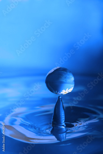 Photo: waterdrop with reflection of flowers waterdrop with reflection of flowers
