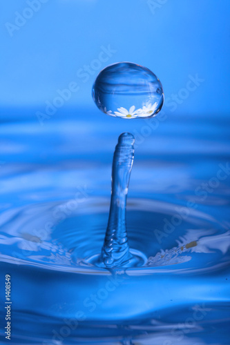 Photo: waterdrop with reflection of flowers waterdrop with reflection of flowers