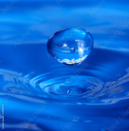 Photo: waterdrop with reflection of flowers waterdrop with reflection of flowers