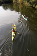 kayakers