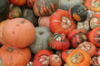 pumpkins