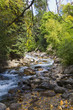 river in fall