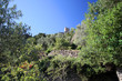 castle in the woods