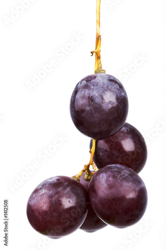 Photo: grapes grapes