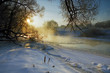frosty morning