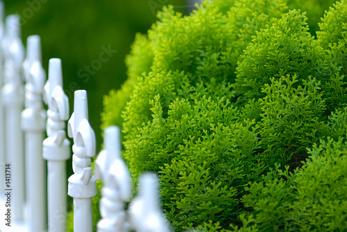 fence