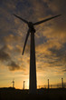 wind mill wind mill