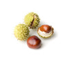 four chestnuts