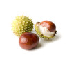 three chestnuts
