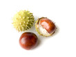 three chestnuts