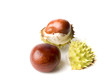 two chestnuts