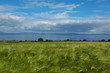 irish country