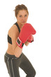 boxer #08