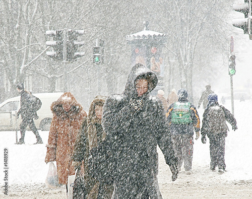 Photo: snowfall snowfall